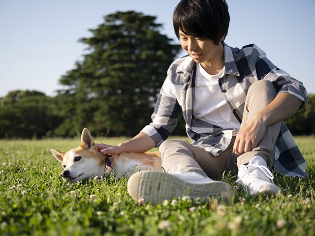 ペット しつけ方